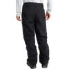 Burton Men's AK Gore Swash Pant in A04-True Black back