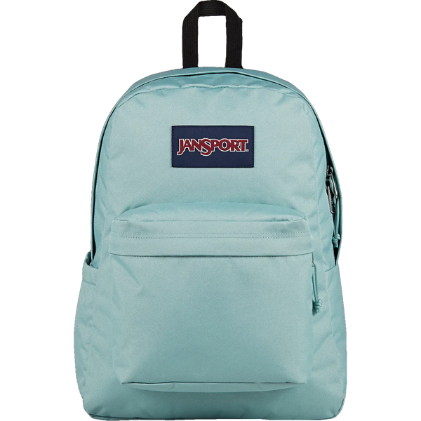 100209597.LA8.FadedSage.