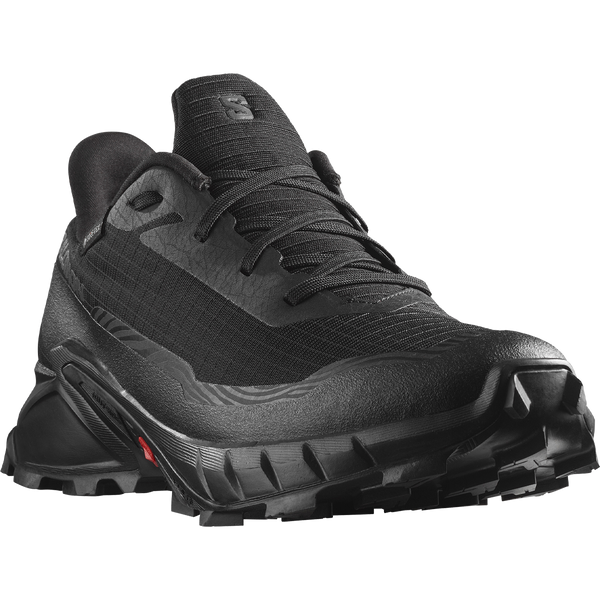 Salomon alpha cross sales review