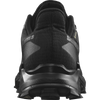 Salomon Men's Alphacross 5 GORE-TEX back