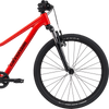Cannondale Youth Trail 24" front of bike