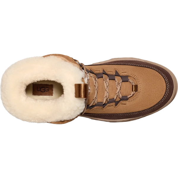 100269691-CHESTNUT-5_grande.
