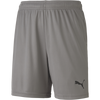 Puma Youth TeamGoal 23 Knit Shorts in Steel Grey