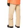 Oakley Men's Best Cedar RC Insulated Pant back