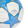 Adidas UCL Training Ball Back