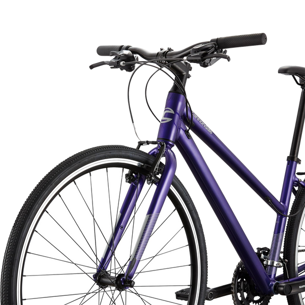 Quick Remixte – Sports Basement