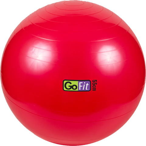 Stability Ball - 55 cm