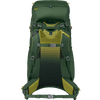Osprey Youth Ace 50 in Green Canopy/Matcha Green back harness