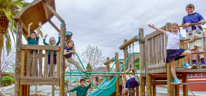 Want 20% off for your class or team? You got it!