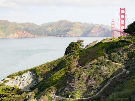 FIELD GUIDE: REDISCOVER THE PRESIDIO
