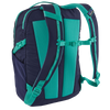 Patagonia Refugio Daypack 26L