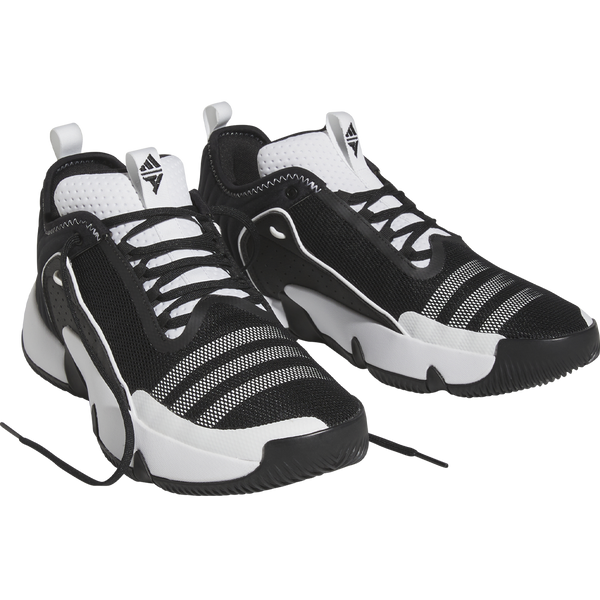 Trae Unlimited Sports Basement