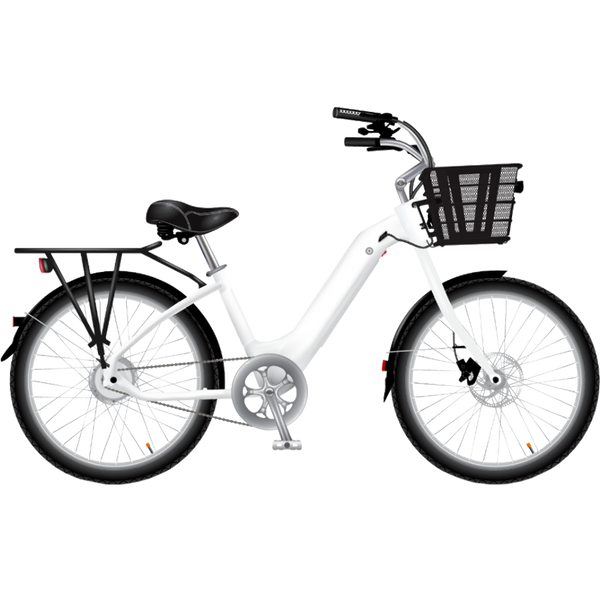 Model E Sports Basement