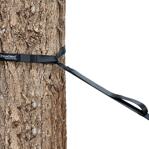 TravelNest Hammock + Straps Combo Sports Basement