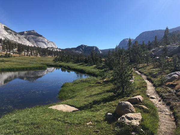 Sports Basement Outdoors Backpacking Yosemite: Vogelsang