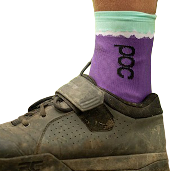 Ibis 40th Anniversary Socks Sports Basement