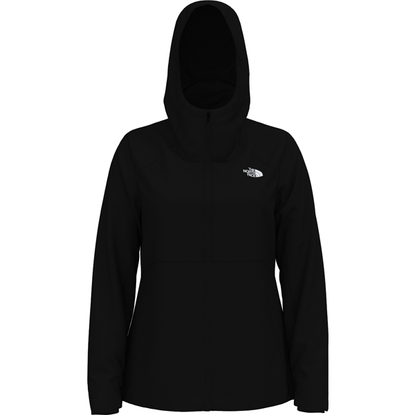 North face store shelb rschl hoodie