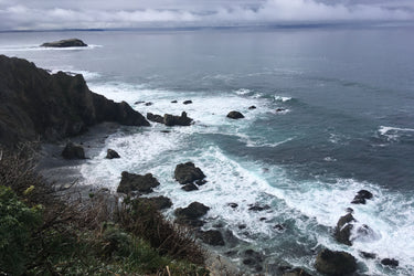 Our Favorite Bay Area Hike (Plus 5 Runner-Ups)
