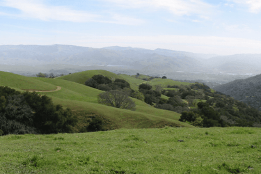 Our Favorite Bay Area Hike (Plus 5 Runner-Ups)