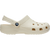 2Y2-Bone