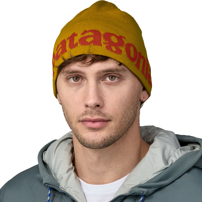 Beanie Hat, Patagonia Beanie Hat front