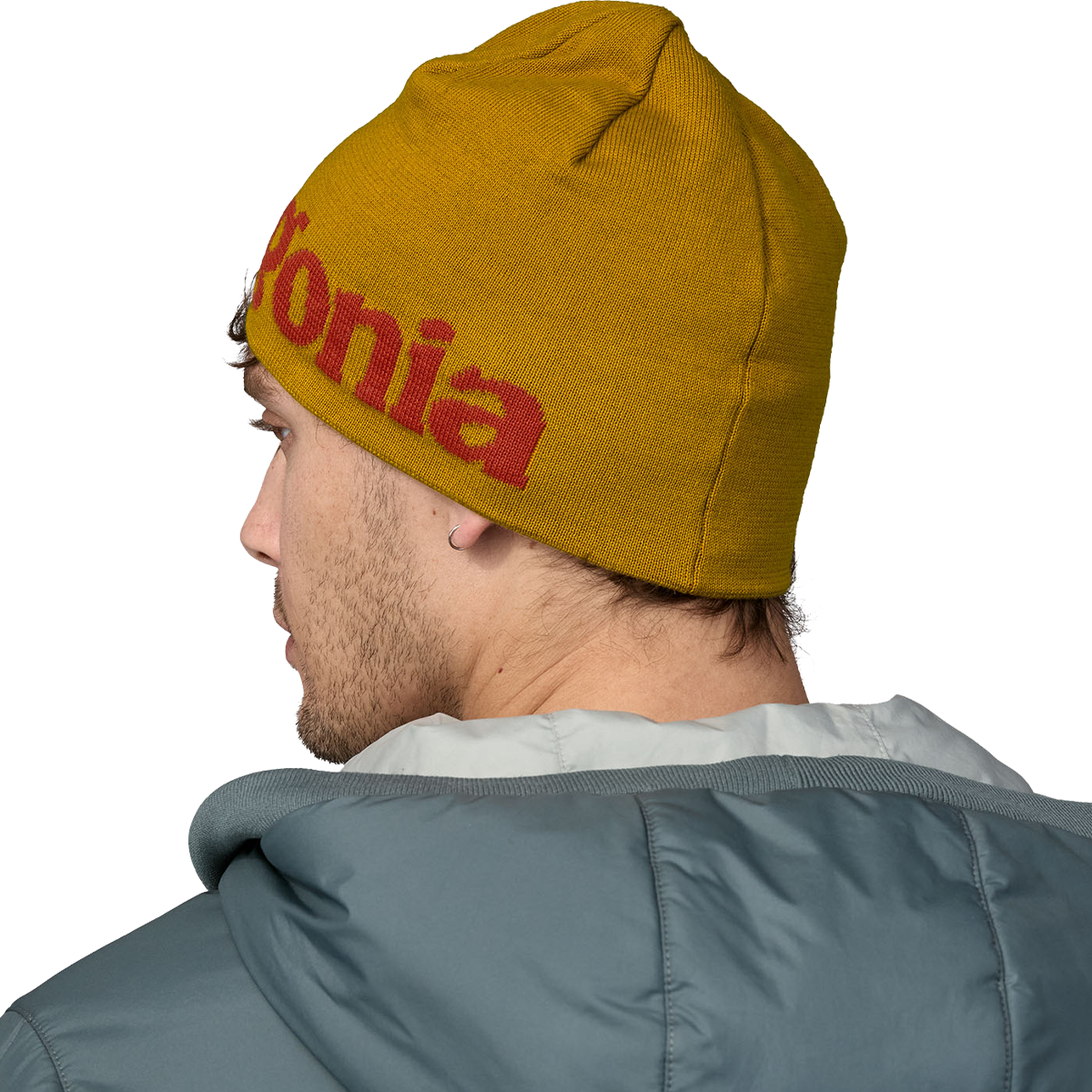 Beanie Hat Sports Basement