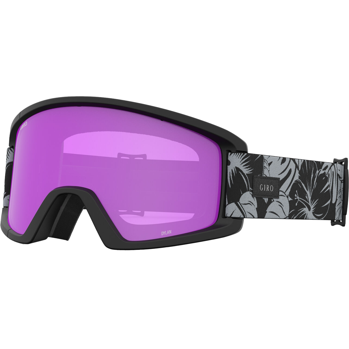 Women's Dylan Goggles alternate view