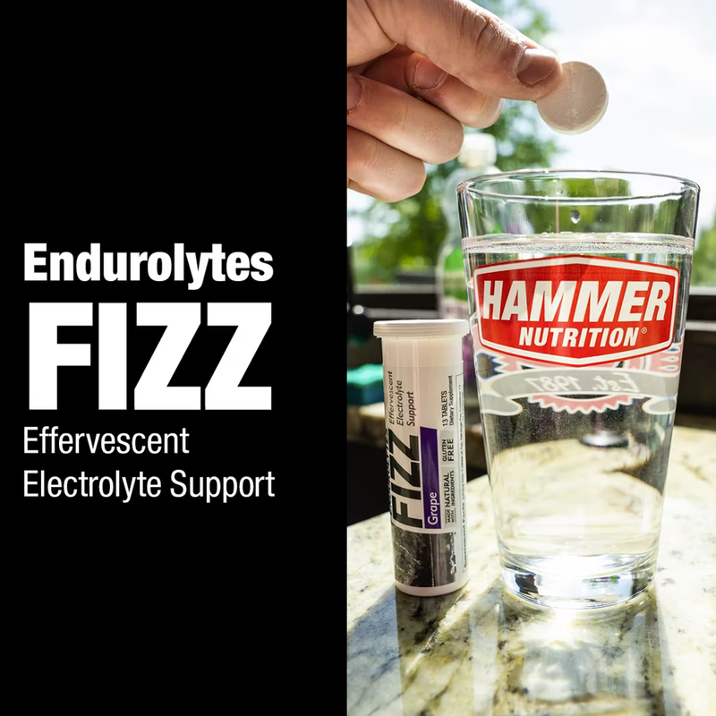 Endurolytes Fizz, Hammer Nutrition Endurolytes Fizz 