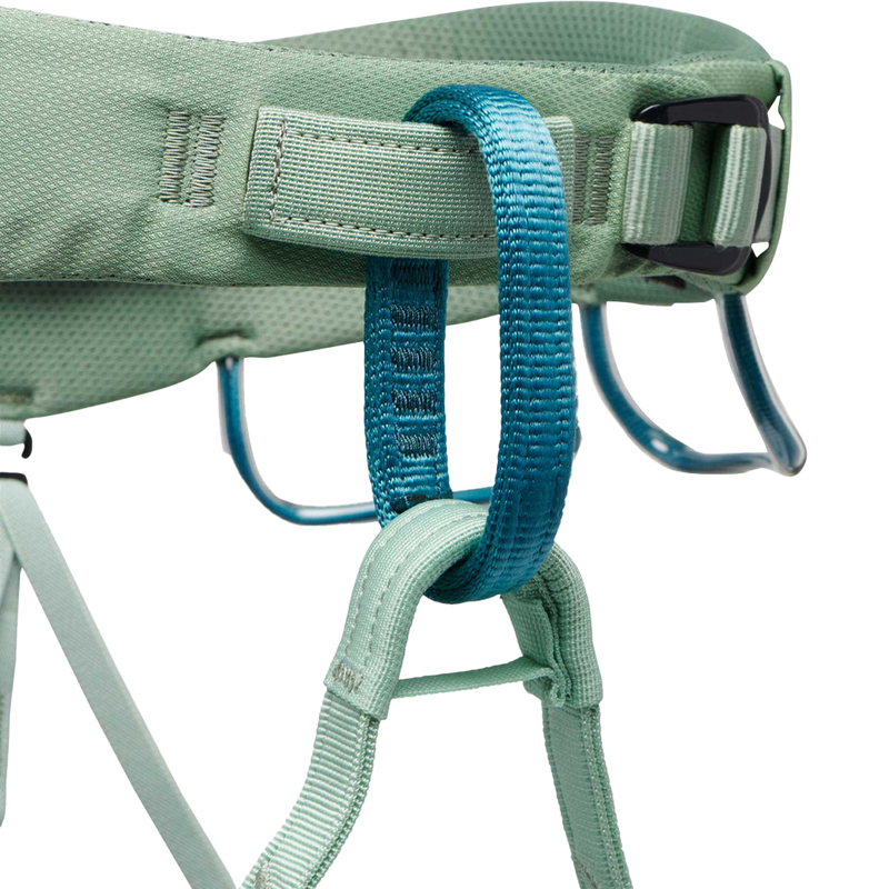 Women's Momentum Harness, Black Diamond Women's Momentum loop