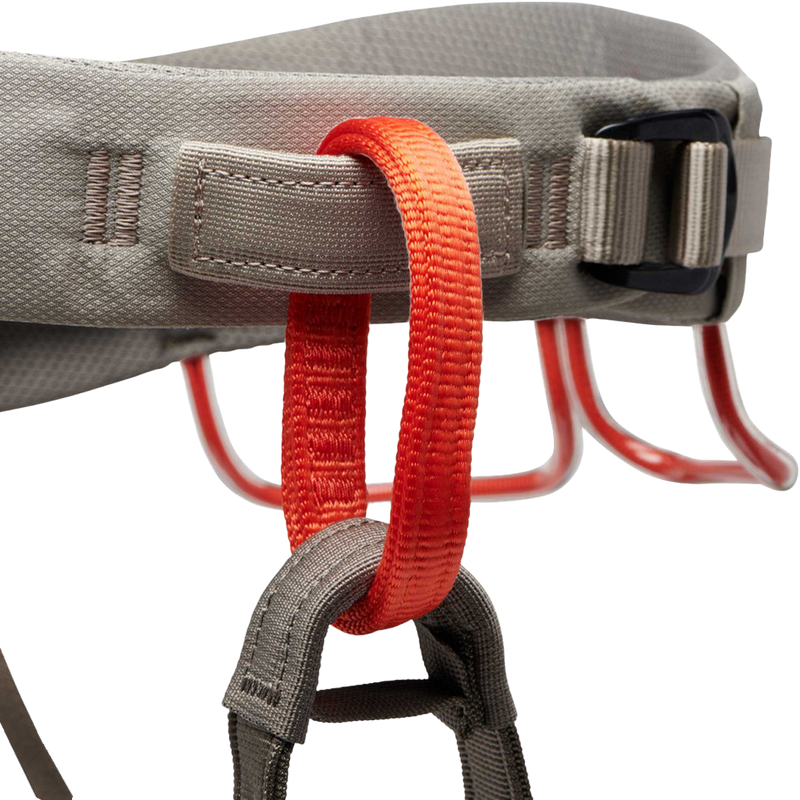 Men's Momentum, Black Diamond Momentum Harness waistbelt