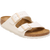 Eggshell
