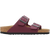 Zinfandel