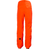Helly Hansen Men's Sogn Cargo Pant back