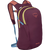 Moody Burgundy