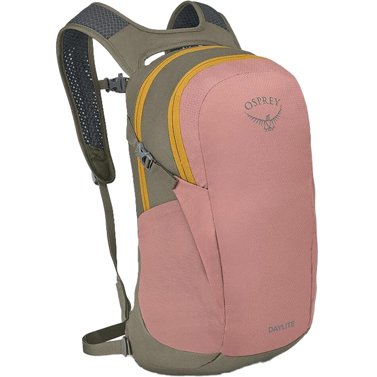 Daylite Sports Basement