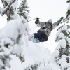 Wend MF Performance Speed Paste on skis