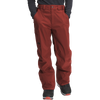 The North Face Men's Freedom Pant - Short in Brick House Red