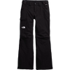 The North Face Women’s Freedom Insulated Pants in TNF Black