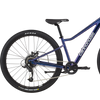 Cannondale Youth Trail 26" back of bike