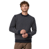 Patagonia Men's Reycled Wool Sweater front on model