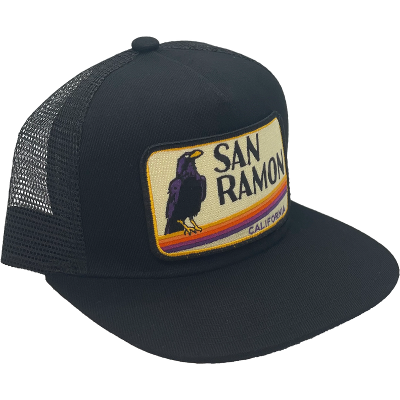 San Ramon Trucker, Bart Bridge San Ramon side 2