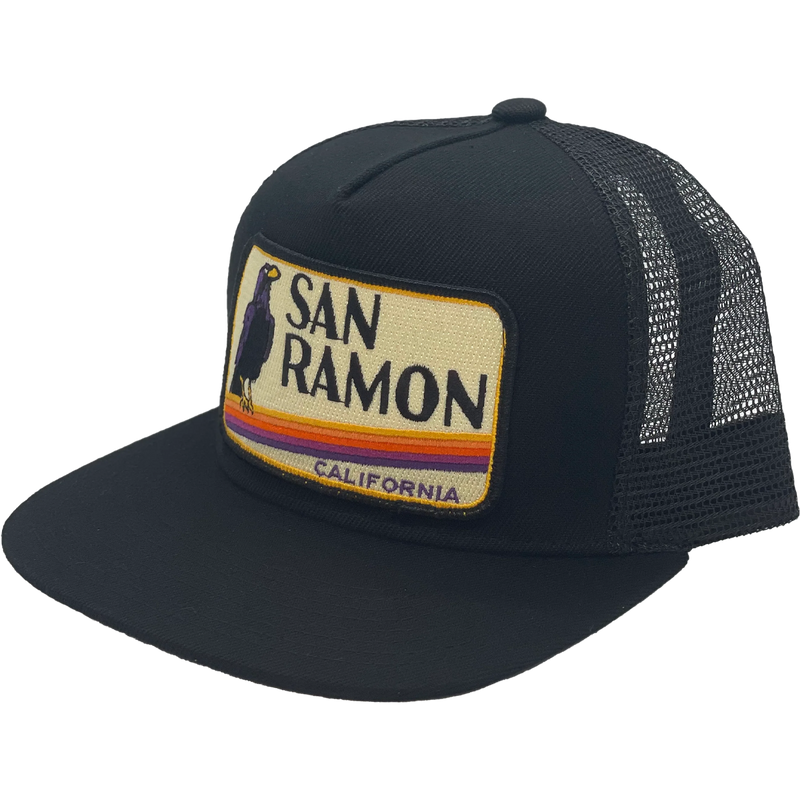 San Ramon Trucker, Bart Bridge San Ramon side 1