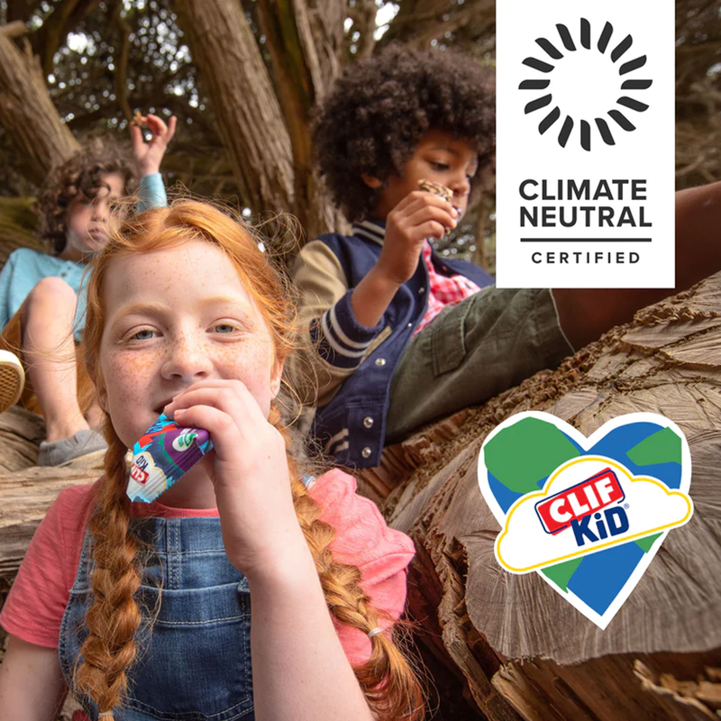 Zbar Protein, Clif Bar Zbar Protein in hand