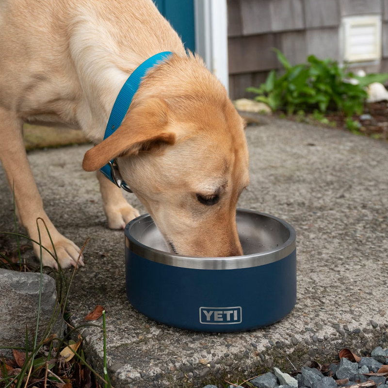 Boomer 8 Dog Bowl, Yeti Boomer 8 Dog Bowl with cute dog
