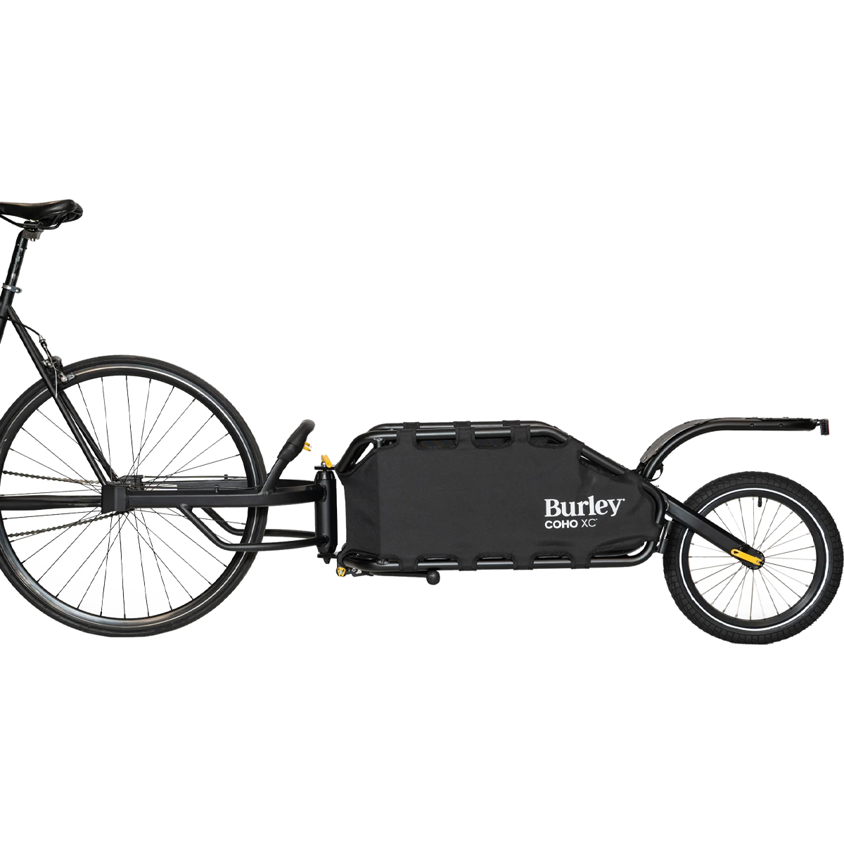 Coho XC Sports Basement