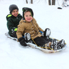 Emsco Heavy Duty Sled in snow