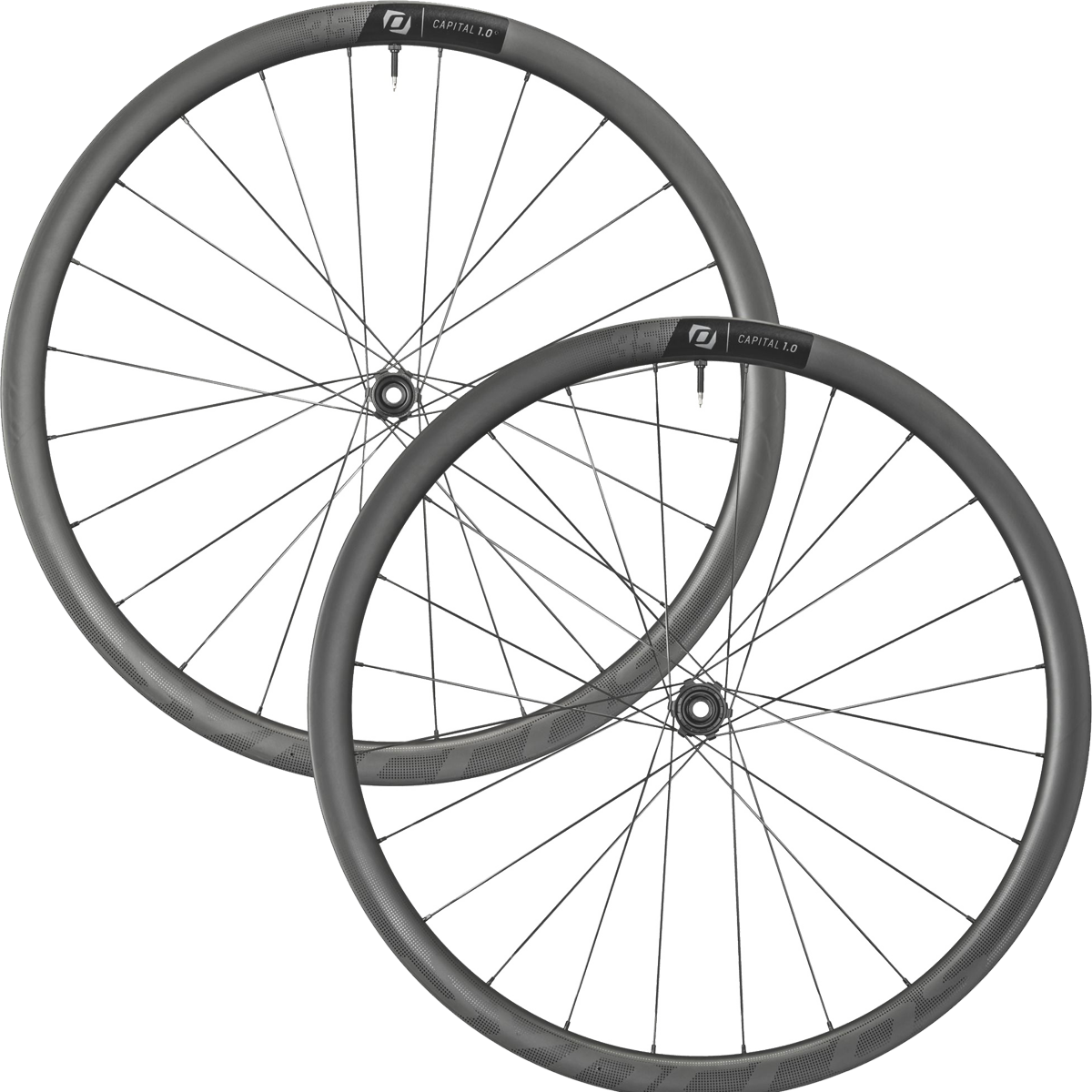 Syncros capital 1.0 50 best sale disc wheels