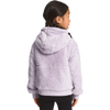 The North Face Youth Toddler Suave Oso Full-Zip Hoodie back