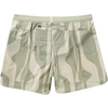 Roark Men's Alta 5" Short in CPL-Chaparral back