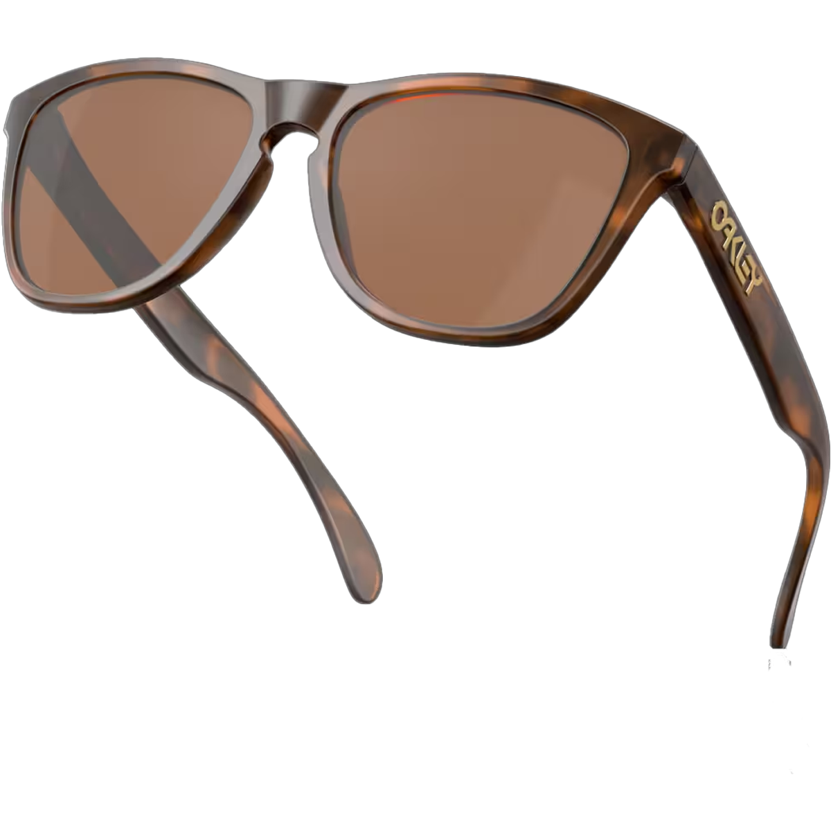 Frogskins - Matte Tortoise/Prizm Tungsten alternate view